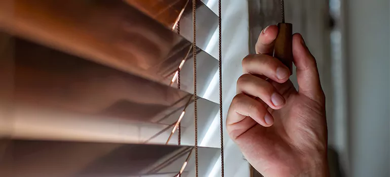Double Roller Blinds in West Palm Beach, FL