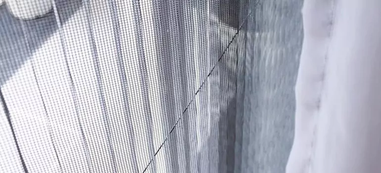 Fixing Screen Window Mesh in West Palm Beach, FL