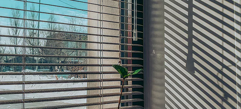 Commercial Window Blinds in West Palm Beach, FL