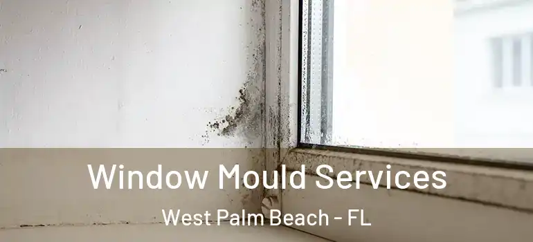  Window Mould Services West Palm Beach - FL